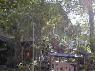 ������u���_�فv